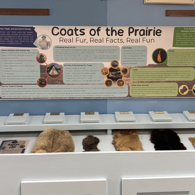 Coats of the Prairie fur display