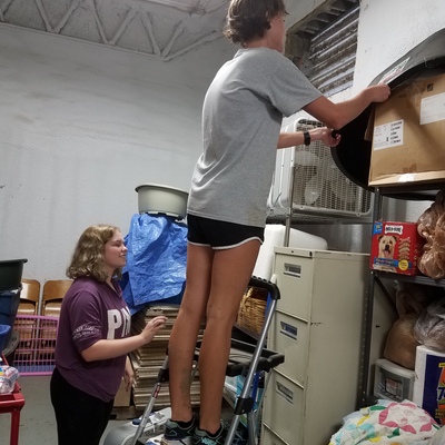 Volunteering at CCARE is fun! There are so many jobs you can do.