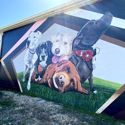 Our beautiful mural was painted in 2020 and features a few of our favorite past residents.