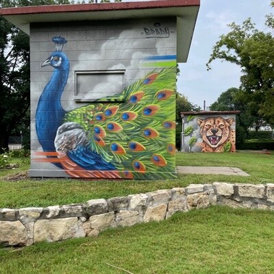 'Proud Peacock' and 'Cheetahs Calling' - Clay Center Zoo